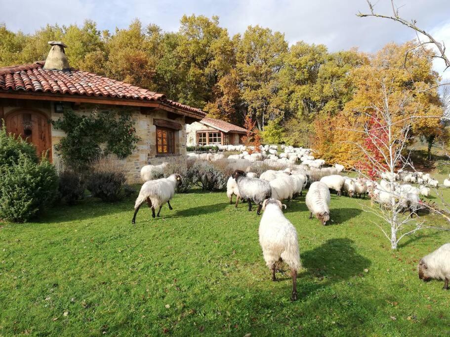 Villa Guikuri Octogono Casa Rural 1, 2 Y 3Pax Murua Exterior foto
